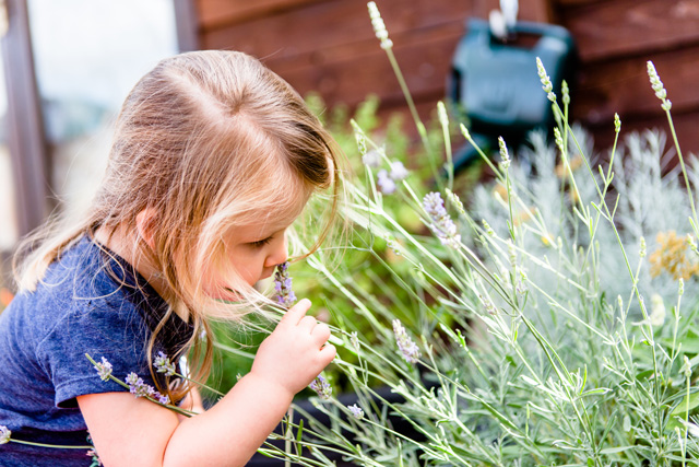 Lodge Farm Nursery Children