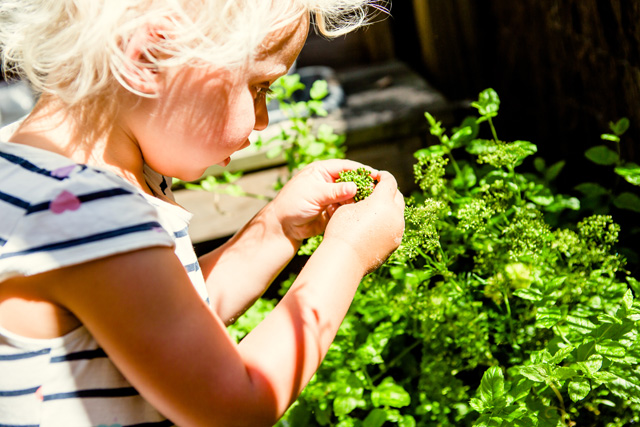 Lodge Farm Nursery Children