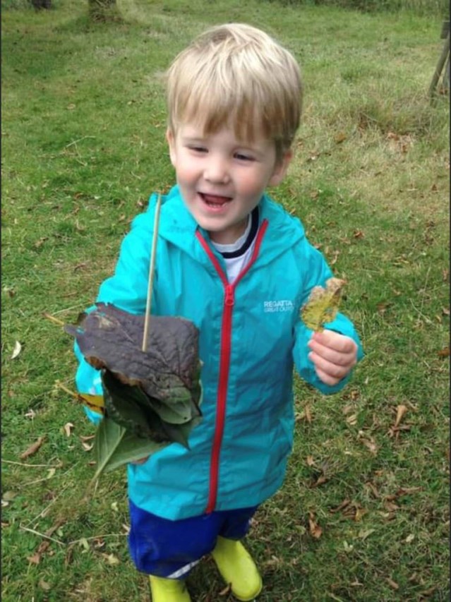 Forest school forage